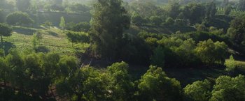 Movie still from “The Biggest Little Farm: The Return” (2022), directed by John Chester – A view of a lush green forest from above; Extreme Wide shot, High angle