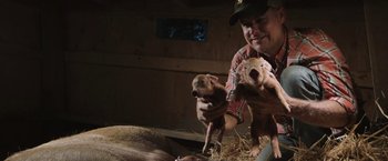 Movie still from “The Biggest Little Farm: The Return” (2022), directed by John Chester – A man is holding two baby piglets in a barn; Close Up shot, Overhead angle