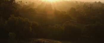Movie still from “The Biggest Little Farm: The Return” (2022), directed by John Chester – The sun is setting over a wooded area; Extreme Wide shot, High angle