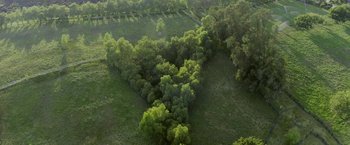 Movie still from “The Biggest Little Farm: The Return” (2022), directed by John Chester – An aerial view of a field with trees in the background; Extreme Wide shot, High angle