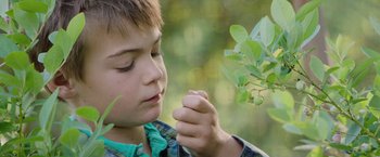 Movie still from “The Biggest Little Farm: The Return” (2022), directed by John Chester – A young boy holding a plant in front of his face; Close Up shot, Low angle