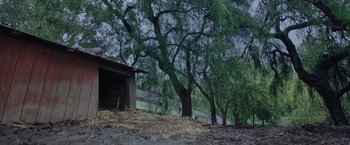 Movie still from “The Biggest Little Farm: The Return” (2022), directed by John Chester – A barn and some trees on a hillside; Extreme Wide shot, Low angle