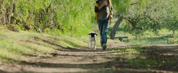 Movie still from “The Biggest Little Farm: The Return” (2022), directed by John Chester – A man walking a dog down a path; Medium shot, Low angle