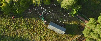 Movie still from “The Biggest Little Farm: The Return” (2022), directed by John Chester – An aerial view of a tractor and a trailer; Extreme Wide shot, Overhead angle