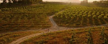 Movie still from “The Biggest Little Farm: The Return” (2022), directed by John Chester – A couple of people walking down a dirt road; Extreme Wide shot, High angle