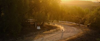 Movie still from “The Biggest Little Farm: The Return” (2022), directed by John Chester – A dog running down a dirt road near a tree; Extreme Wide shot, High angle