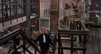 Movie still from “The Birds” (1963), directed by Alfred Hitchcock – An older woman walking up a set of stairs; Wide shot, High angle