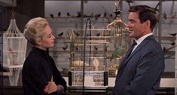 Movie still from “The Birds” (1963), directed by Alfred Hitchcock – A man and a woman standing in front of a bird in a birdcage; Medium shot, Low angle