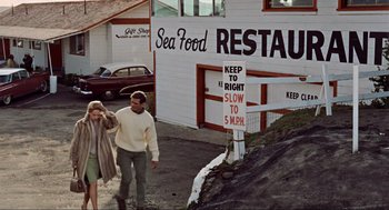 Movie still from “The Birds” (1963), directed by Alfred Hitchcock – A man and a woman walking down a street; Wide shot, High angle