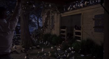 Movie still from “The Birds” (1963), directed by Alfred Hitchcock – A flock of birds sitting on top of a tree; Extreme Wide shot, High angle