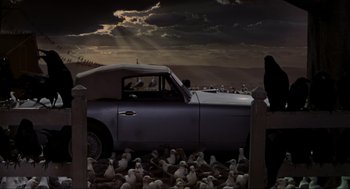 Movie still from “The Birds” (1963), directed by Alfred Hitchcock – A car parked in front of a flock of birds; Wide shot, High angle