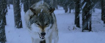 Movie still from “The Bourne Legacy” (2012), directed by Tony Gilroy – A wolf in the snow; Wide shot, Low angle