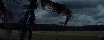 A palm tree in the middle of a lush green field under a cloudy sky
