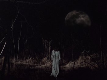 Movie still from “The Evil Dead” (1981), directed by Sam Raimi – A woman in a white dress standing in the woods at night with a full moon in the background; Extreme Wide shot, Low angle