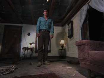 Movie still from “The Evil Dead” (1981), directed by Sam Raimi – A man standing in a living room holding a board; Wide shot, Low angle