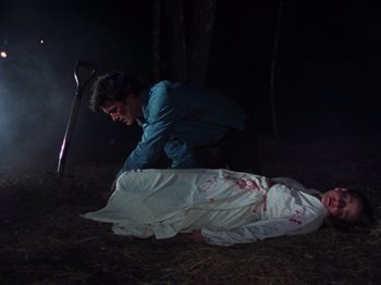 Movie still from “The Evil Dead” (1981), directed by Sam Raimi – A man and a woman in the woods with bloody clothes on them; Wide shot, High angle