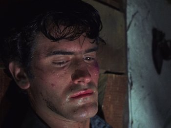 Movie still from “The Evil Dead” (1981), directed by Sam Raimi – A person with a bruised face; Close Up shot, Low angle