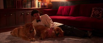 Movie still from “The Forgiven” (2021), directed by John Michael McDonagh – A man sitting on the ground with two dogs; Medium shot, High angle