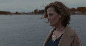 Movie still from “The Good House” (2021), directed by Maya Forbes – A person near a body of water; Close Up shot, Over the shoulder angle