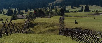 Movie still from “The Great Escape” (1963), directed by John Sturges – A grassy field with trees in the background; Extreme Wide shot, High angle