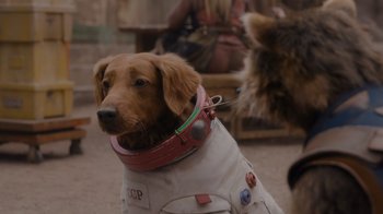 Movie still from “The Guardians of the Galaxy Holiday Special” (2022), directed by James Gunn – A dog wearing a space suit and a collar; Close Up shot, Over the shoulder angle