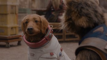 Movie still from “The Guardians of the Galaxy Holiday Special” (2022), directed by James Gunn – A dog wearing a space suit and a cat wearing a space suit; Close Up shot, Over the shoulder angle