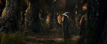 Movie still from “The Hobbit: The Battle of the Five Armies” (2014), directed by Peter Jackson – An image of a wizard in the woods; Wide shot, High angle