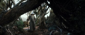 Movie still from “The Hobbit: The Desolation of Smaug” (2013), directed by Peter Jackson – Wide shot, Low angle