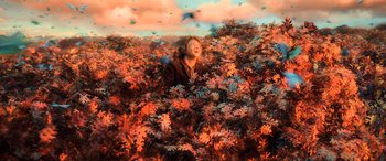 Movie still from “The Hobbit: The Desolation of Smaug” (2013), directed by Peter Jackson – Wide shot, High angle