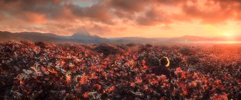 Movie still from “The Hobbit: The Desolation of Smaug” (2013), directed by Peter Jackson – Extreme Wide shot, High angle