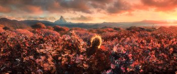 Movie still from “The Hobbit: The Desolation of Smaug” (2013), directed by Peter Jackson – Extreme Wide shot, High angle