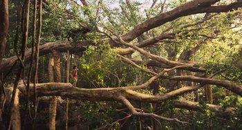 Movie still from “The Jungle Book” (2016), directed by Jon Favreau – A woman standing on a tree branch in the woods; Extreme Wide shot, High angle