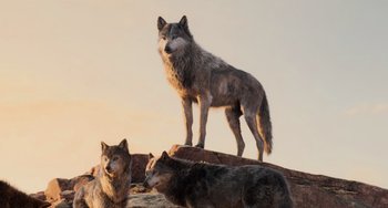 Movie still from “The Jungle Book” (2016), directed by Jon Favreau – A group of three wolves standing on top of a hill; Wide shot, Low angle