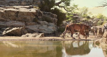 Movie still from “The Jungle Book” (2016), directed by Jon Favreau – A tiger walking across a river next to a rock wall; Extreme Wide shot, High angle