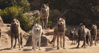 Movie still from “The Jungle Book” (2016), directed by Jon Favreau – A group of dogs standing on top of a hill; Wide shot, Low angle