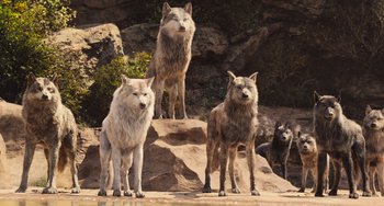 Movie still from “The Jungle Book” (2016), directed by Jon Favreau – A group of wolves standing on top of a rock formation; Wide shot, Low angle