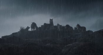 Movie still from “The Jungle Book” (2016), directed by Jon Favreau – A group of animals standing on top of a hill in the rain; Extreme Wide shot, Low angle