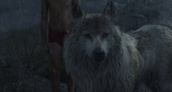 Movie still from “The Jungle Book” (2016), directed by Jon Favreau – A man standing next to a wolf in the dark; Close Up shot, Low angle