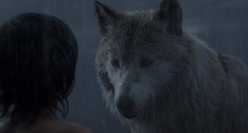 Movie still from “The Jungle Book” (2016), directed by Jon Favreau – A person standing next to a wolf in the rain; Close Up shot, Over the shoulder angle