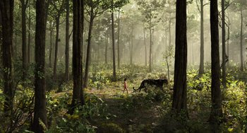 Movie still from “The Jungle Book” (2016), directed by Jon Favreau – An image of a boy and an animal in the woods; Extreme Wide shot, High angle