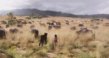 Movie still from “The Jungle Book” (2016), directed by Jon Favreau – A painting of a boy and a herd of zebras in a field; Extreme Wide shot, High angle