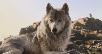 Movie still from “The Jungle Book” (2016), directed by Jon Favreau – A dog's face with a rocky landscape in the background; Close Up shot, High angle