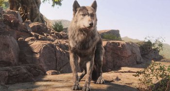 Movie still from “The Jungle Book” (2016), directed by Jon Favreau – A dog standing on top of a rocky ground; Wide shot, High angle