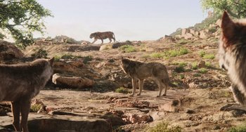 Movie still from “The Jungle Book” (2016), directed by Jon Favreau – A wolf standing on top of a rocky hill next to a tiger; Extreme Wide shot, Low angle
