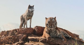 Movie still from “The Jungle Book” (2016), directed by Jon Favreau – A dog and a tiger sitting on top of a hill; Wide shot, Low angle