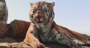 Movie still from “The Jungle Book” (2016), directed by Jon Favreau – The face of an adult tiger; Close Up shot, Low angle