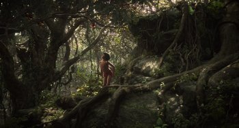 Movie still from “The Jungle Book” (2016), directed by Jon Favreau – A young boy standing on a rock in the woods; Extreme Wide shot, High angle