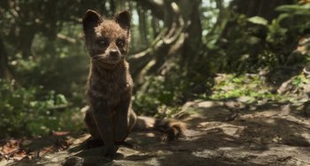 Movie still from “The Jungle Book” (2016), directed by Jon Favreau – A brown bear cub sitting on top of a rock in the woods; Close Up shot, High angle
