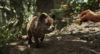 Movie still from “The Jungle Book” (2016), directed by Jon Favreau – A small animal is walking in the forest; Extreme Close Up shot, High angle