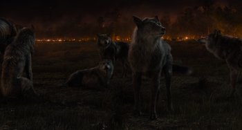 Movie still from “The Jungle Book” (2016), directed by Jon Favreau – A group of dogs sitting on top of a grass covered field at night; Wide shot, High angle